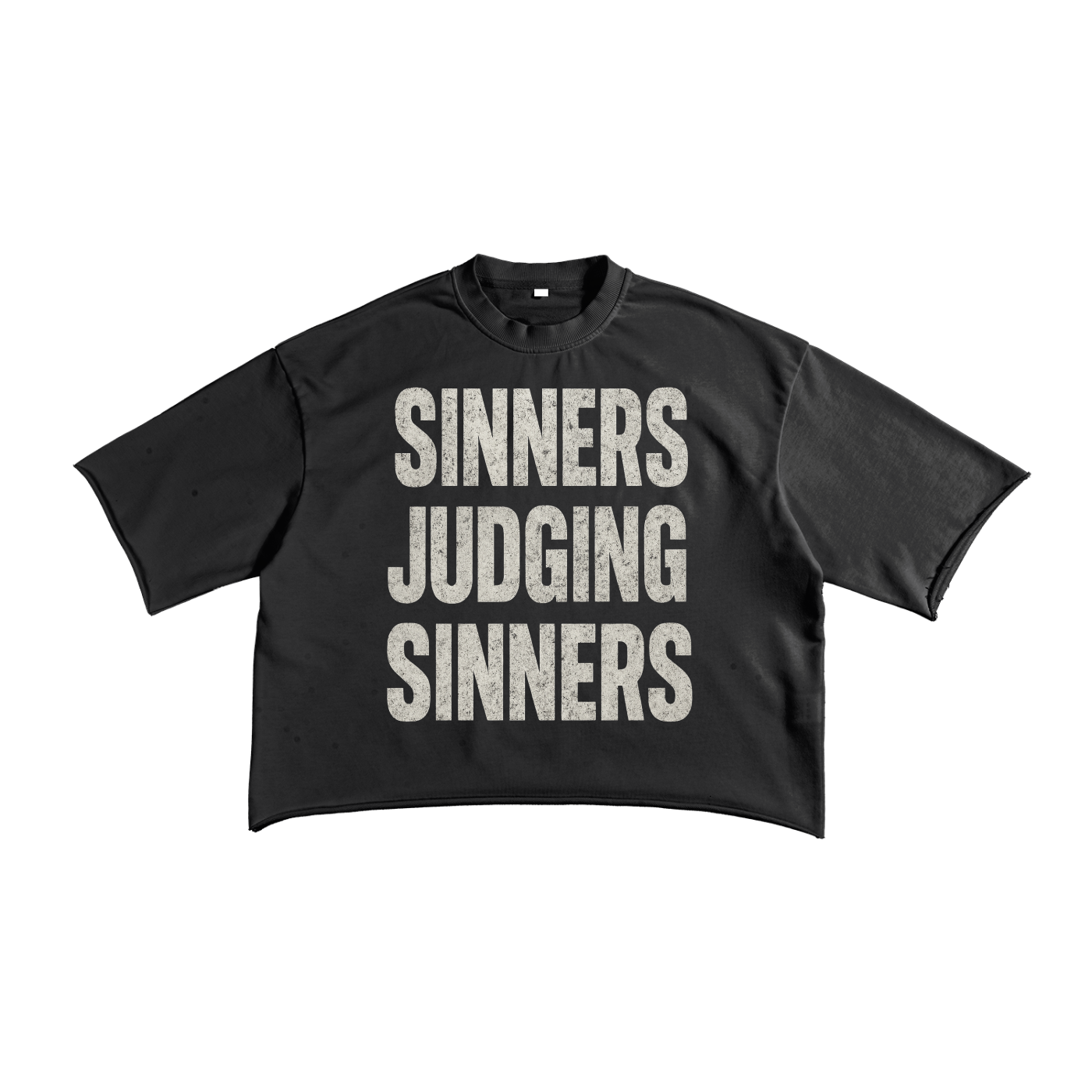 SINNERS JUDGING SINNERS Short Sleeve Tee (Cropped)