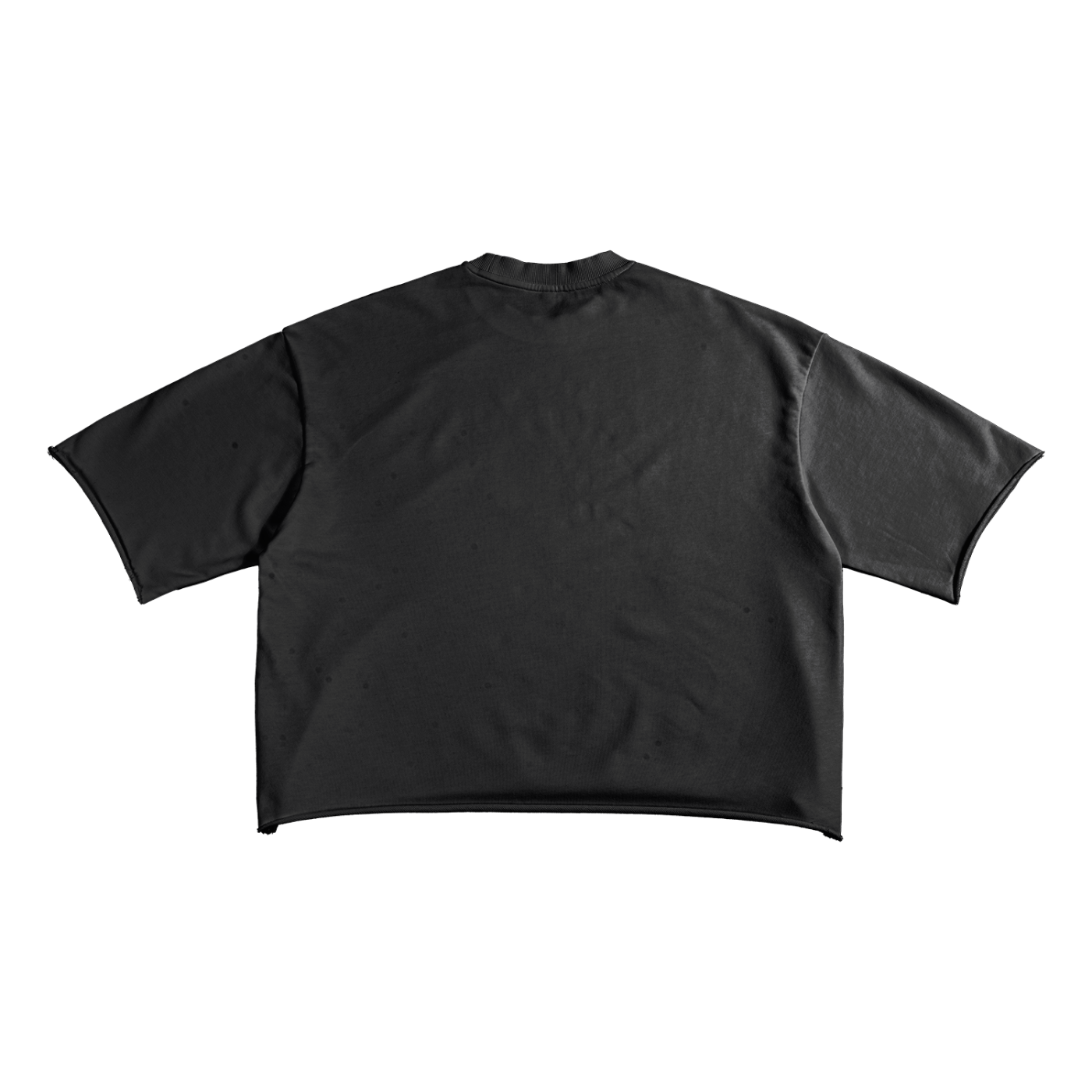 SINNERS JUDGING SINNERS Short Sleeve Tee (Cropped)